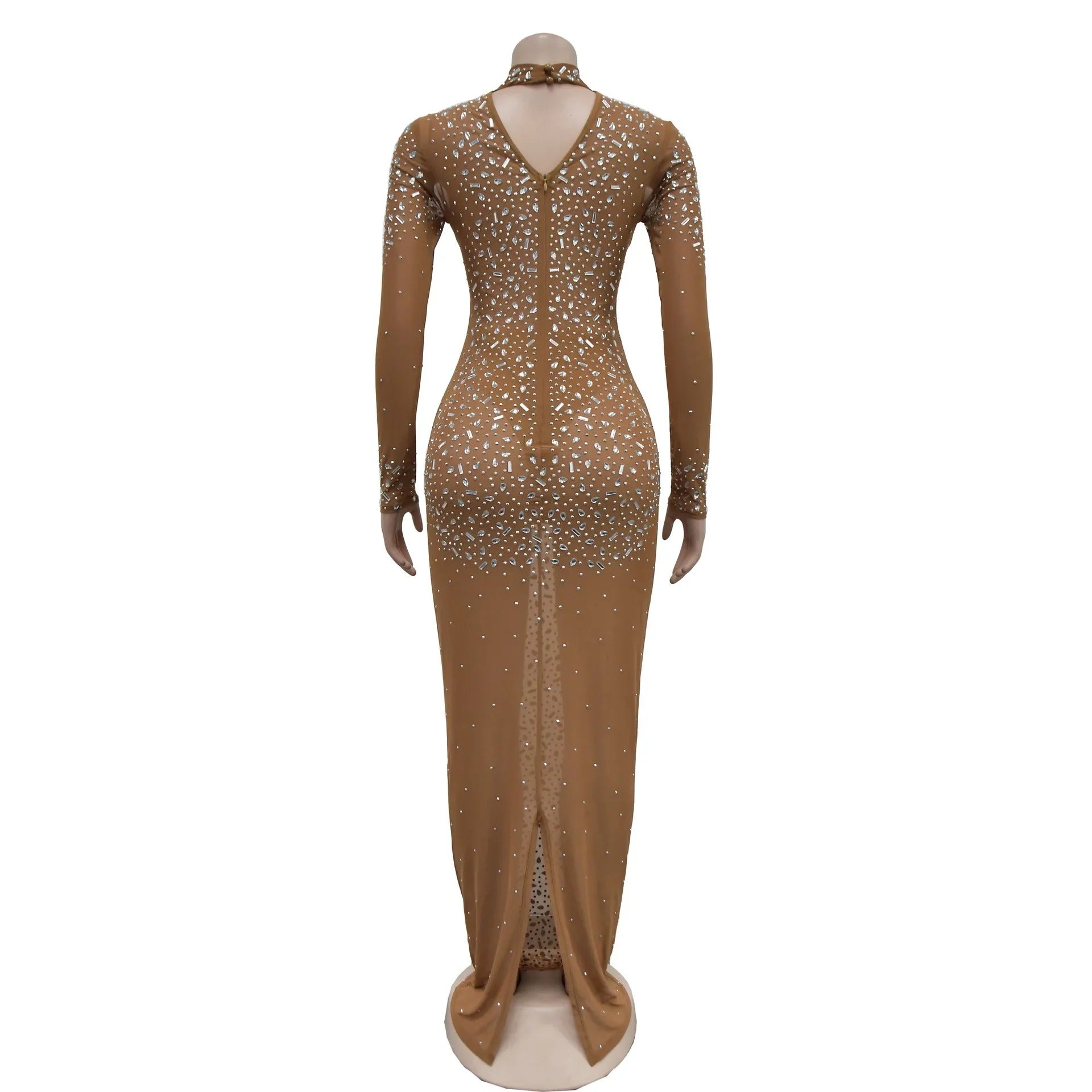 Celestia Mesh Bodycon Gown